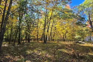 6126 Big Buck Trl, Lake, MI 48632 - Photo 38