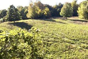 McCain Rd, Spring Arbor, MI 49283 - Photo 1