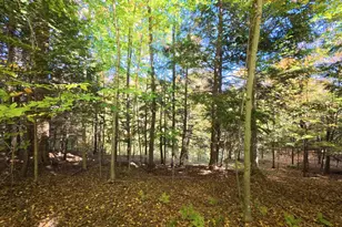 4257 Schnieder Rd, Manistee, MI 49660 - Photo 46