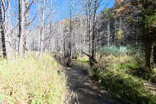 4257 Schnieder Rd, Manistee, MI 49660 - Photo 50