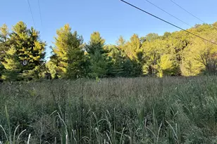 1053 Able Rd, Buchanan, MI 49107 - Photo 56