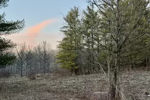 1053 Able Rd, Buchanan, MI 49107 - Photo 48