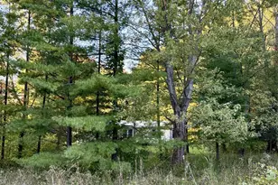 1053 Able Rd, Buchanan, MI 49107 - Photo 54