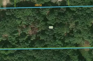 V/L 0 S Elder Ave, Grant, MI 49327 - Photo 1