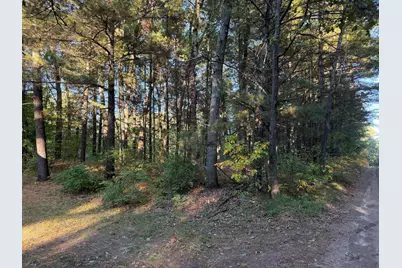 300 E Madison Road, Twin Lake, MI 49457 - Photo 4
