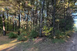 300 E Madison Rd, Twin Lake, MI 49457 - Photo 4