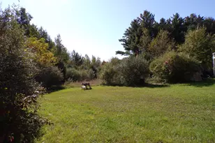 3912 English Rd, Kingston, MI 48741 - Photo 28