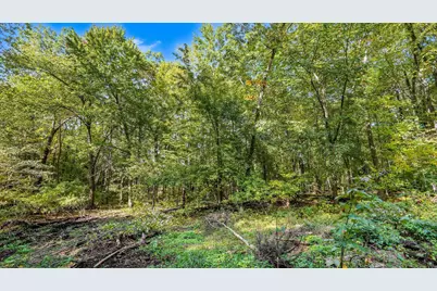 0 Pauline Drive, Napoleon, MI 49261 - Photo 6