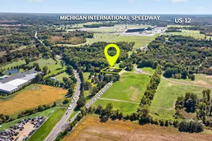 12375 Brooklyn Rd, Brooklyn, MI 49230 - Photo 8