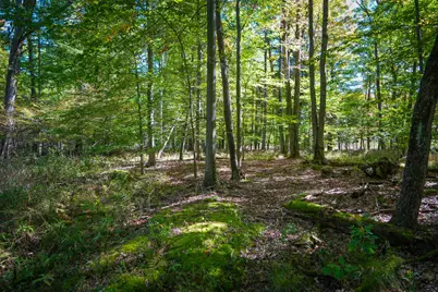 N Lake Road, Lakeview, MI 48850 - Photo 10