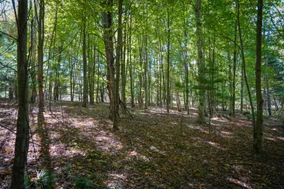 N Lake Road, Lakeview, MI 48850 - Photo 36
