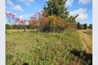 Vl North Branch Road, North Branch, MI 48461 - Photo 6