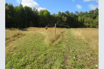 Vl North Branch Road, North Branch, MI 48461 - Photo 24