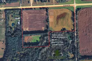 Vl North Branch Rd, North Branch, MI 48461 - Photo 1