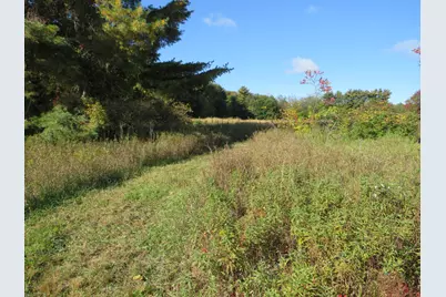 Vl North Branch Road, North Branch, MI 48461 - Photo 4