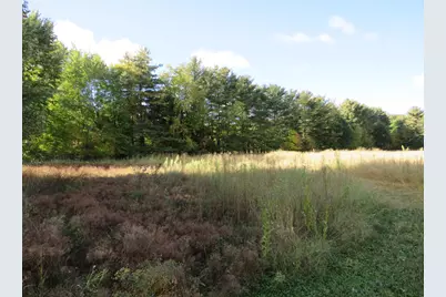 Vl North Branch Road, North Branch, MI 48461 - Photo 14