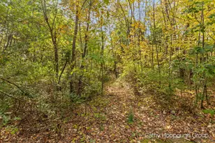 3982 E Bricker Rd, Fenwick City, MI 48834 - Photo 20