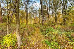 6400 E Brown Rd, Lake Odessa, MI 48849 - Photo 76