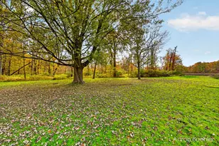 6400 E Brown Rd, Lake Odessa, MI 48849 - Photo 62