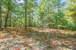 6674 E 48th St, Chase, MI 49623 - Photo 46