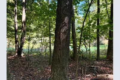 E Bacon Road, Pittsford, MI 49271 - Photo 26