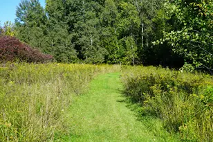 [Address not provided], Prescott, MI 48756 - Photo 42