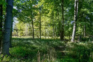 [Address not provided], Prescott, MI 48756 - Photo 26
