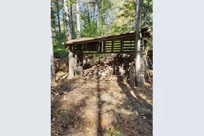 11326 Berg Road, Kaleva, MI 49645 - Photo 22