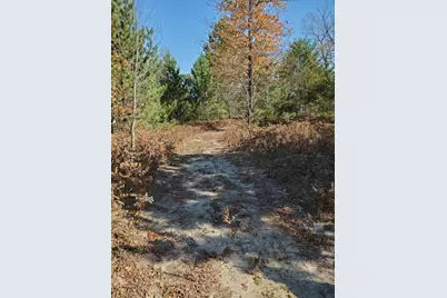 11326 Berg Road, Kaleva, MI 49645 - Photo 50