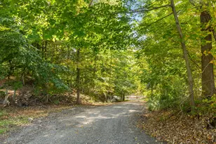 6927 Forest View Trail, Saranac, MI 48881 - Photo 30