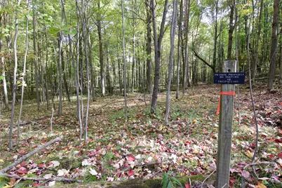 V/L S Bonney Road, Chase, MI 49623 - Photo 24
