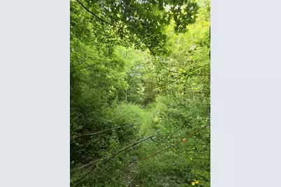 Vl Cedar Creek Road, Delton, MI 49046 - Photo 12
