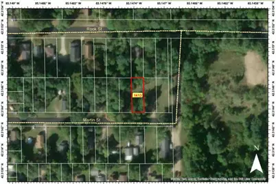 20 Martin Street, Battle Creek, MI 49014 - Photo 8