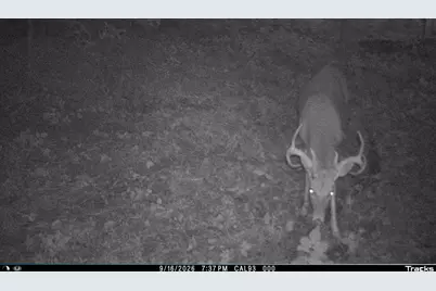 Vl 22 Mile Road, Homer, MI 49245 - Photo 54