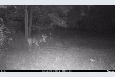 Vl 22 Mile Road, Homer, MI 49245 - Photo 40