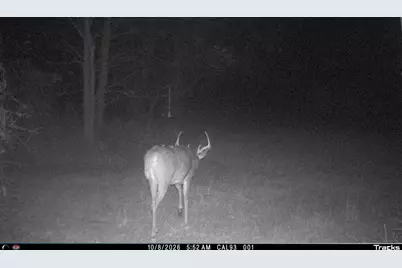 Vl 22 Mile Road, Homer, MI 49245 - Photo 52