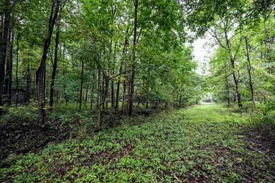 Vl 22 Mile Road, Homer, MI 49245 - Photo 12