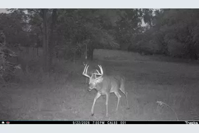 Vl 22 Mile Road, Homer, MI 49245 - Photo 50
