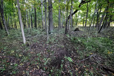 Vl 22 Mile Road, Homer, MI 49245 - Photo 26