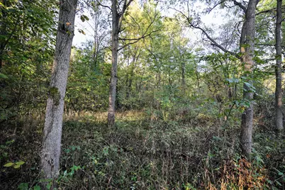 Vl 22 Mile Road, Homer, MI 49245 - Photo 22