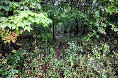 Vl 22 Mile Road, Homer, MI 49245 - Photo 8