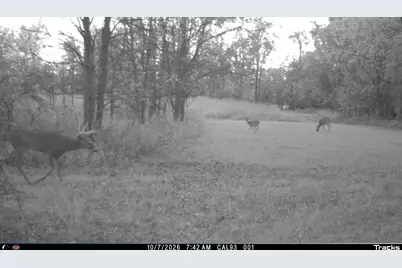 Vl 22 Mile Road, Homer, MI 49245 - Photo 46