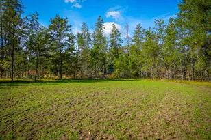 23646 W 12 Mile Rd, Wellston, MI 49689 - Photo 46