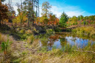 23646 W 12 Mile Rd, Wellston, MI 49689 - Photo 4