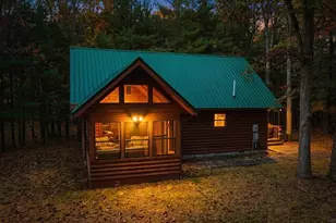 9405 N Bass Lake Rd, Irons, MI 49644 - Photo 1