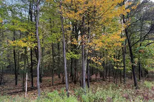0 Nord Rd, Muskegon, MI 49445 - Photo 1