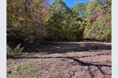 Warner Avenue #Parcel B, Fremont, MI 49412 - Photo 4