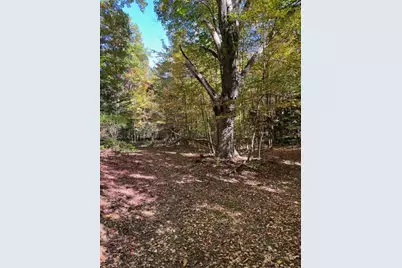 Warner Avenue #Parcel C, Fremont, MI 49412 - Photo 26