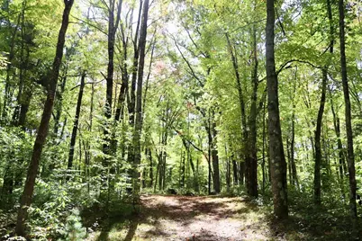 V/L N. Bear Track, White Cloud, MI 49349 - Photo 12