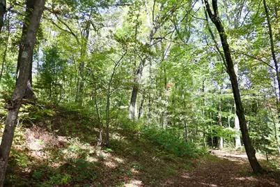 V/L N. Bear Track, White Cloud, MI 49349 - Photo 16